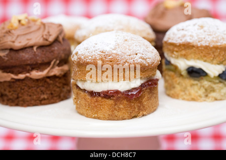 Eine Auswahl an hausgemachten Mini Victoria sandwich Kuchen auf einem aufgegebenen Hintergrund. Stockfoto