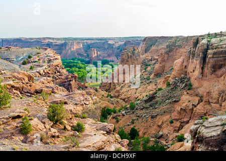 Blick von der Tunnel Overlook am frühen Morgen, South Rim, Canyon de Chelly Nationalmonument, Chinle, Arizona, USA Stockfoto