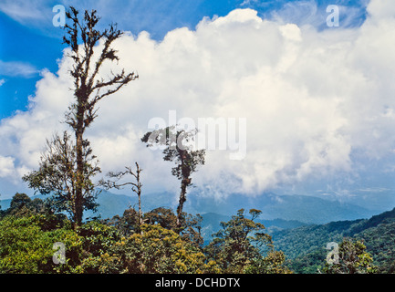 Blick vom Gunung Kinabalu, Sabah, Malaysia Stockfoto