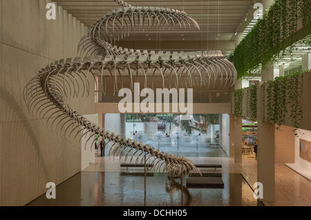 Skulptur "Ressort 2012" des chinesischen Künstlers Huang Yong Ping in der Lobby der Queensland Art Gallery, Southbank, Brisbane Stockfoto