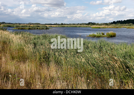 Middleton Hall RSPB Reserve, Midlands, Juli 2013 Stockfoto