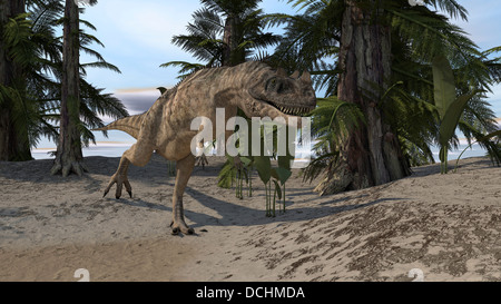 Ceratosaurus Jagd in einer prähistorischen Umgebung. Stockfoto