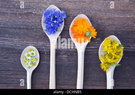 verschiedene medizinische Kräuter blüht Holzlöffel auf alten hölzernen Hintergrund.  Ringelblume, Kornblume, Tutsan und Kamille Stockfoto