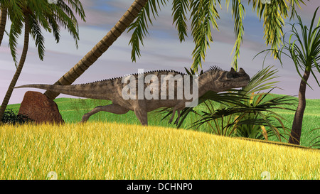 Ceratosaurus Jagd in einem Feld. Stockfoto