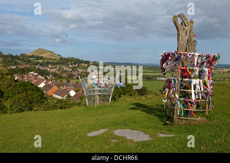 Der Heilige Glastonbury Dorn und dem Glastonbury Tor im Hintergrund, Somerset. Stockfoto