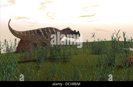 Ceratosaurus Jagd im prähistorischen Grasland. Stockfoto