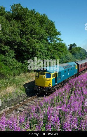 Diesel-elektrisch, Lokomotive, Klasse 27,27106, D5394, BRCW, Broomhill Station, Typ 2, Strathspey Dampfeisenbahn, Schottland Stockfoto