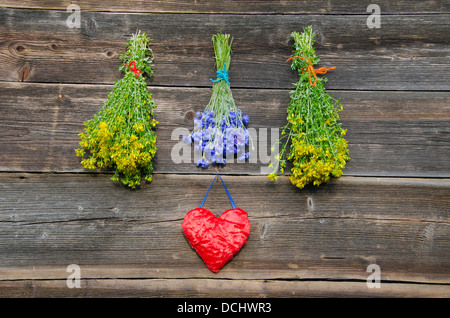 medizinische Kräuter, Blumen, Sträuße, und Rot Herz Symbol auf alten hölzernen Hof Mauer Stockfoto