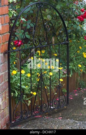 Bunten gelben Ringelblumen und rote Rosen durch offene schmiedeeisernes Tor an einem verregneten Tag bei Lyme Regis, Dorset im August Stockfoto