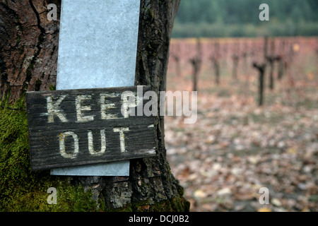 Halten Sie Zeichen, Napa Valley Stockfoto