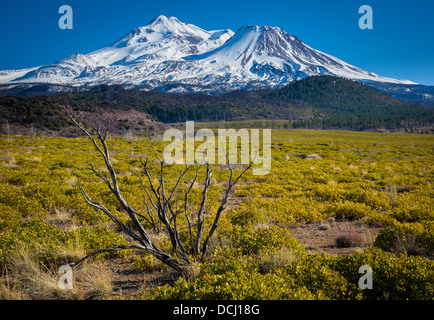 Mount Shasta befindet sich am südlichen Ende der Kaskadenkette in Siskiyou County, Kalifornien Stockfoto