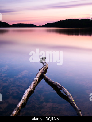 Niederlassung in Wasser, Gröen, Landvetter, Schweden Stockfoto