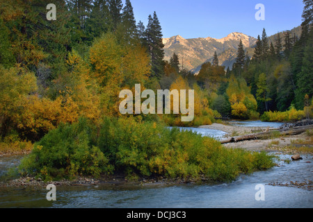 Herbstfarben entlang der South Fork Kings River, Kings Canyon Nationalpark, Kalifornien Stockfoto