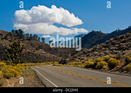 Autobahn-Route 178 in der Nähe von Walker Pass, Kern County, Kalifornien Stockfoto