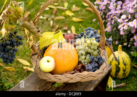 Herbst Korb voller Frische und leckere Früchte und Gemüse Stockfoto