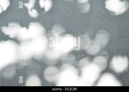Blendung auf eine graue Wand Stockfoto