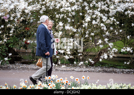 Ein altes Ehepaar genießen Sie einen Spaziergang am Nachmittag. Stockfoto