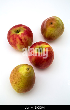 Zwei rosige Äpfel und zwei rosige Birnen vor einem weißen Hintergrund. Stockfoto