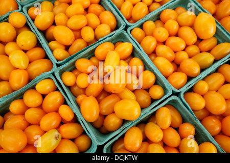 Tomaten essen reif Behälter Container Papier Traube Stockfoto