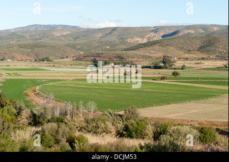 Ackerland in der Nähe von Oudtshoorn, Südafrika Stockfoto