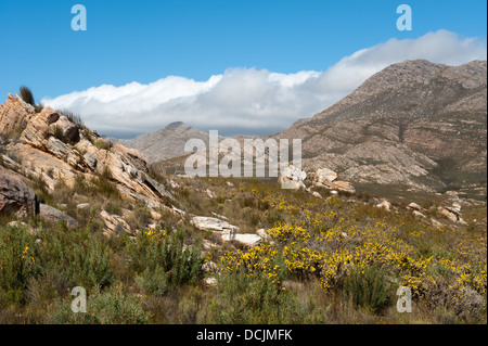 Swartberg Pass über den Swartberg Bergen, Oudtshoorn, Südafrika Stockfoto