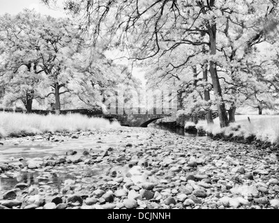 Infrarot, Fluß Wyre, Abbeystead, Lancashire, UK Stockfoto