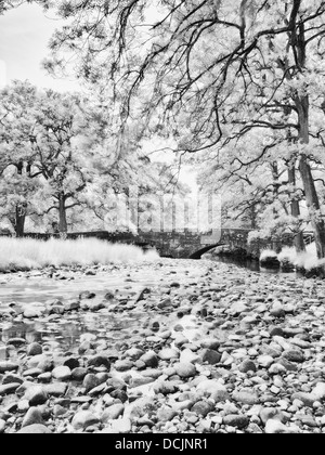 Infrarot, Fluß Wyre, Abbeystead, Lancashire, UK Stockfoto