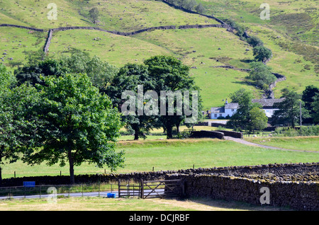 Ein weißes Bauernhaus und die Nebengebäude mit Mauern umgebene Weide hinter in Great Langdale im Lake District National Park. Stockfoto