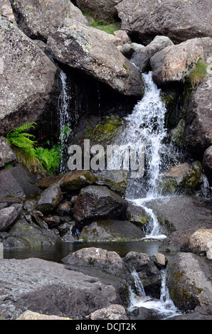 Der scheut Ghyll Stream Langdale - die Wanderroute für den Aufstieg auf scheut Tarn fließt. Stockfoto