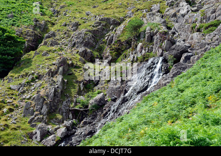 Der scheut Ghyll Stream Langdale - die Wanderroute für den Aufstieg auf scheut Tarn fließt. Stockfoto