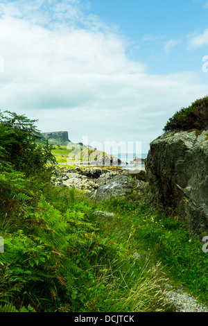 Fair Kopf aus Murlough Bay North Antrim-Nordirland Stockfoto