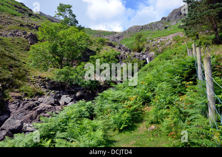 Der scheut Ghyll Stream Langdale - die Wanderroute für den Aufstieg auf scheut Tarn fließt. Stockfoto