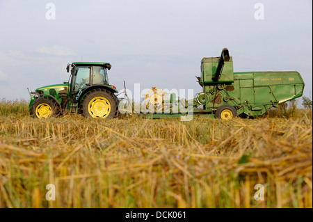 Deutschland alte John Deere Mähdrescher 360 von 1968 von Ernte Hafer am Bio-Bauernhof Traktor gezogen Stockfoto