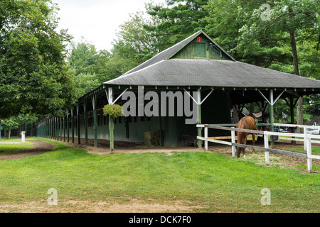 Saratoga Raceway, die älteste Pferderennbahn in den USA feiert 150 Jahre 2013 in Betrieb. Stockfoto