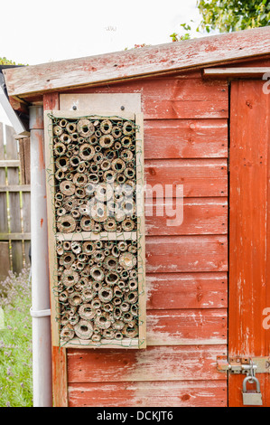 Der Nistkasten besteht aus hohlen Holzrohre für Solitäre Bienen und Wespen an einem Gartenhaus. Stockfoto