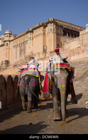 Indische Elefanten, die Touristen bis zu Amber (Amer) Fort trägt / Palace - Jaipur, Rajasthan, Indien Stockfoto