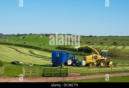 Heu-Herstellung in einem Feld in der Nähe von Lindal, South Lakeland, Cumbria, England UK Stockfoto