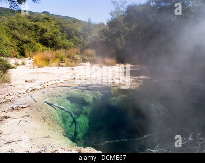 dh Tokaanu thermische Spaziergang TOKAANU NEW ZEALAND Erholung Reserve Thermalbecken dampfend heißen mineralischen Quellen Quellen Stockfoto