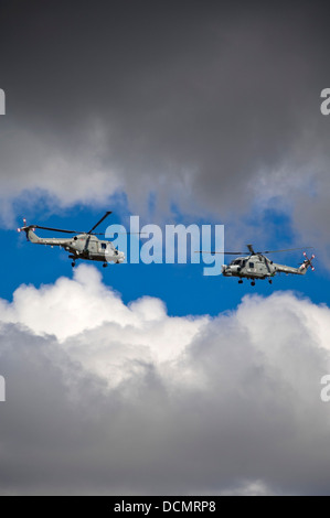 Vertikale Nahaufnahme von zwei Westland Lynx Hubschrauber fliegen zueinander während einer Flugshow. Stockfoto