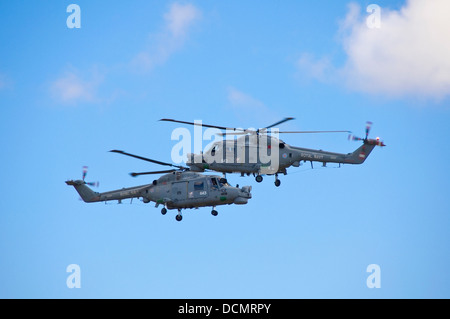 Horizontale Nahaufnahme von zwei Westland Lynx Hubschrauber fliegen in Richtung einander bei einem Stunt auf einer Flugshow. Stockfoto