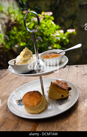 Vertikale Nahaufnahme einen traditionellen Cream Tea mit Clotted Cream und Marmelade serviert. Stockfoto