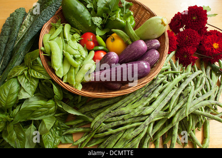 Eine reiche Auswahl an frischem Gemüse aus dem Garten. Stockfoto