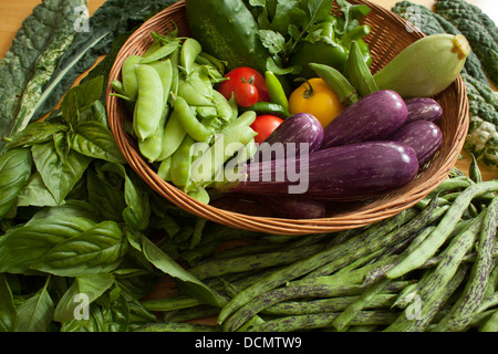 Eine reiche Auswahl an frischem Gemüse aus dem Garten. Stockfoto