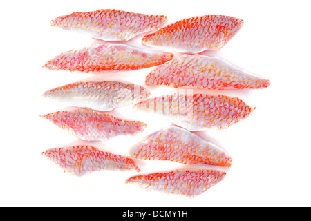 Filets von Goatfish vor weißem Hintergrund Stockfoto