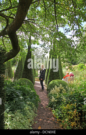 Abgeschnitten eibe Turmspitzen der Eibe Spaziergang bei Wollerton alte Halle Gärten garten Wollerton Market Drayton Shropshire England Großbritannien Stockfoto