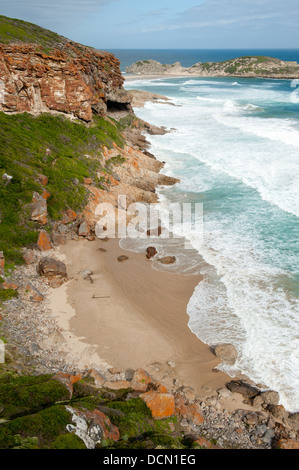 Robberg Nature Reserve, Plettenberg Bay, Südafrika Stockfoto