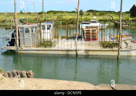Auster-Boot in La Tremblade Website Ostriecole Oyster Landwirtschaft Hafen Charente-Maritime-Frankreich Stockfoto