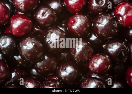 Fresh cherries Stockfoto