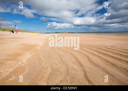 Sand, Wellen am Strand und eine Frau, die ihrem Hund Beadnell Bay, in Northumberland, England. Stockfoto