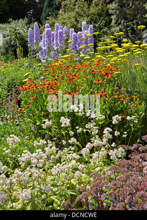 Farbenfrohe Stauden Grenzübergang Waterperry Gärten Oxfordshire mit Delphinium Achillea Helenium Astrantia und Sedum Stockfoto